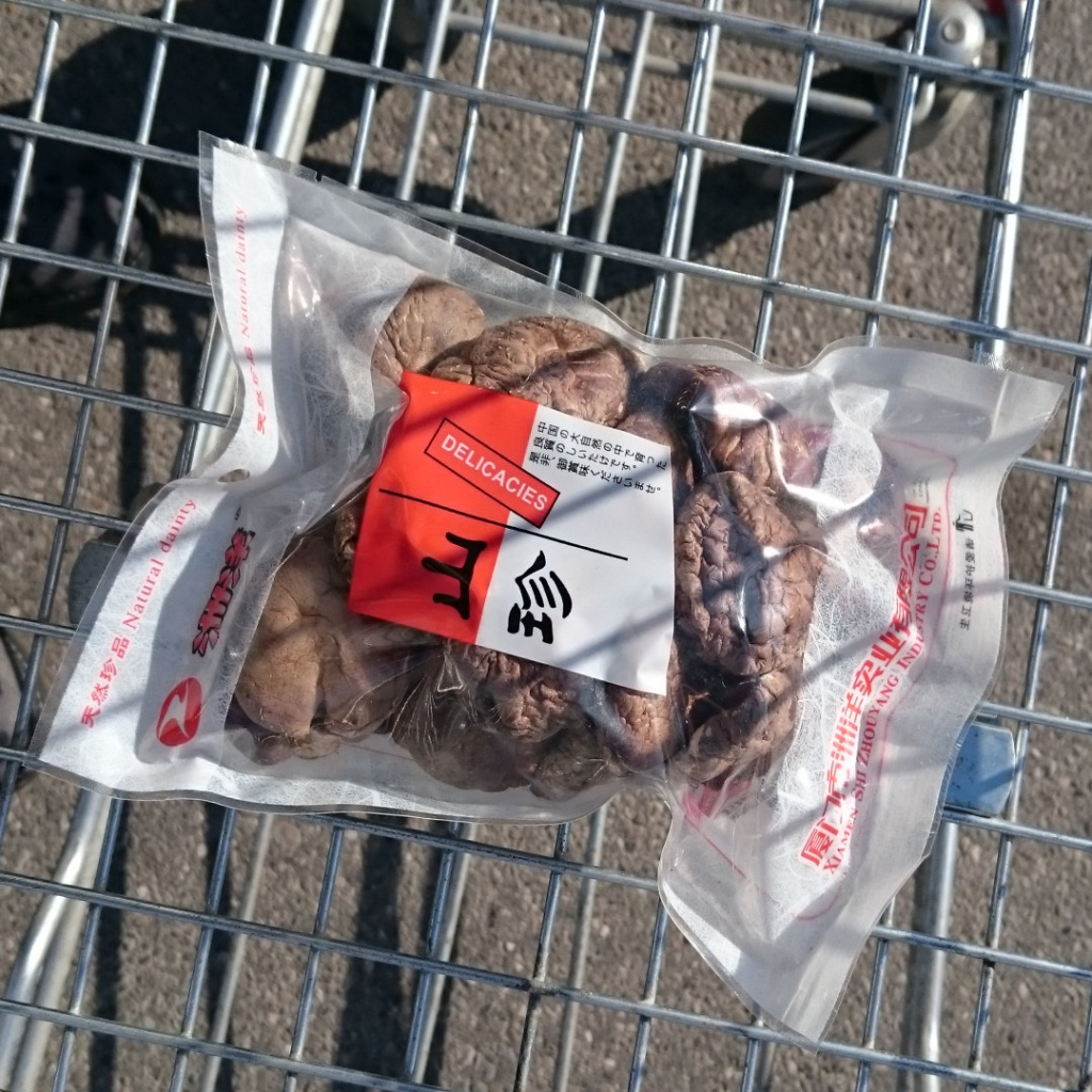 Shiitake Pilze