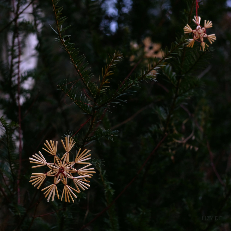 A decorated evergreen branch in nature.