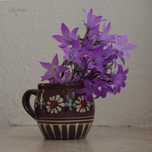 Bluebells in a cute vase.