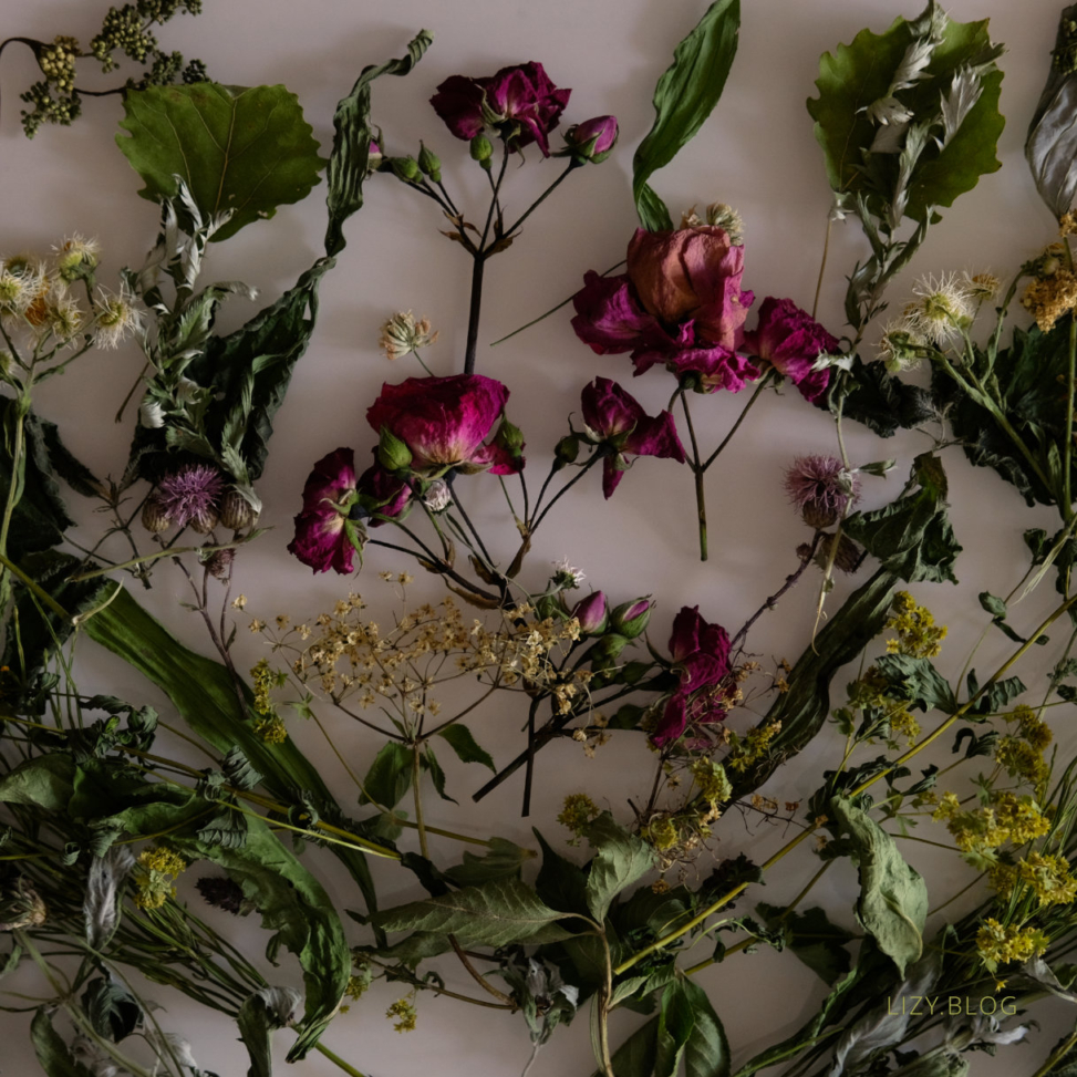 Herbs collected during summer solstice.